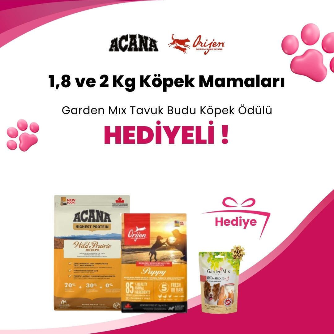 Acana ve Orijen 1,8 ve 2 Kg Köpek Mamalarına Profine Snack Biftekli Köpek Ödülü 80 gr ve Gnawlers Digest Prebiyotik Destekli Köpek Ödül Maması 15gr 7.5cm Hediye