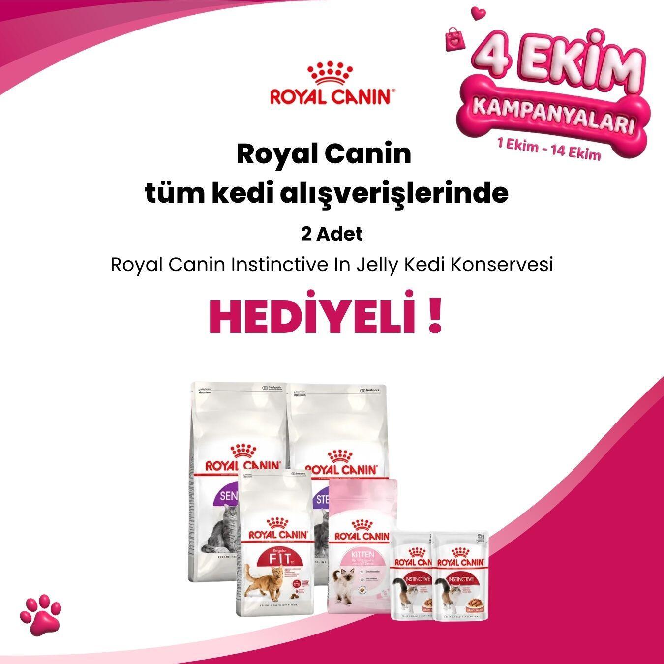 Royal Canin Kedi