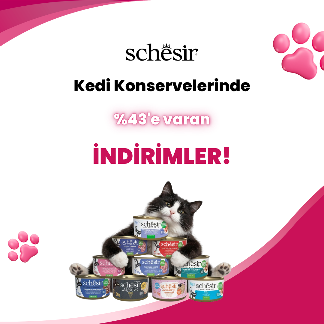 Schesir Konserve %43