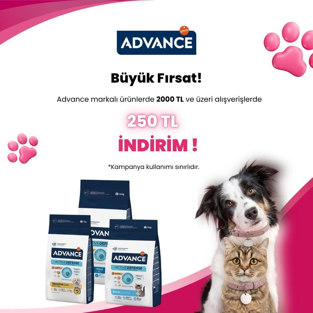 Seçili Marka