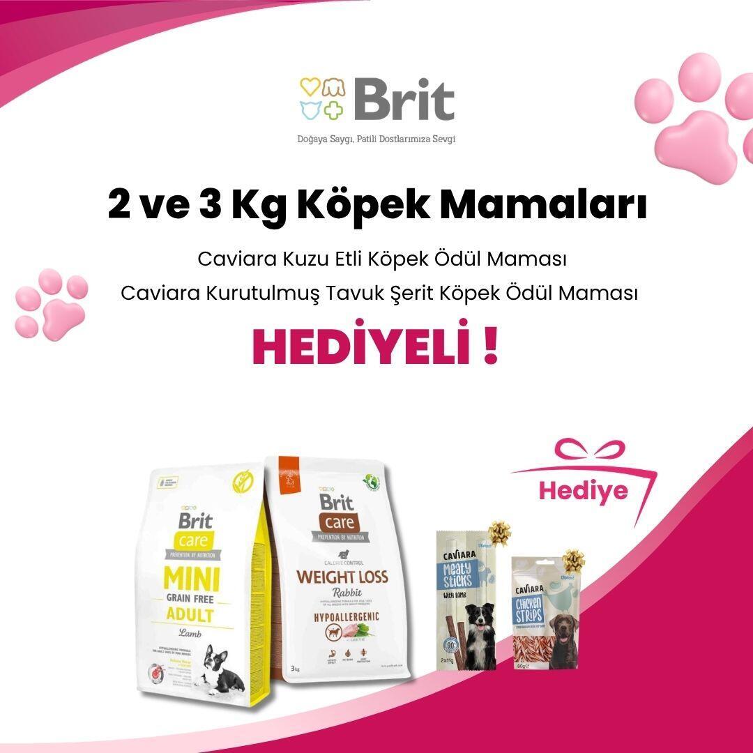 Brit Care 2 ve 3 Kg Köpek Mamaları