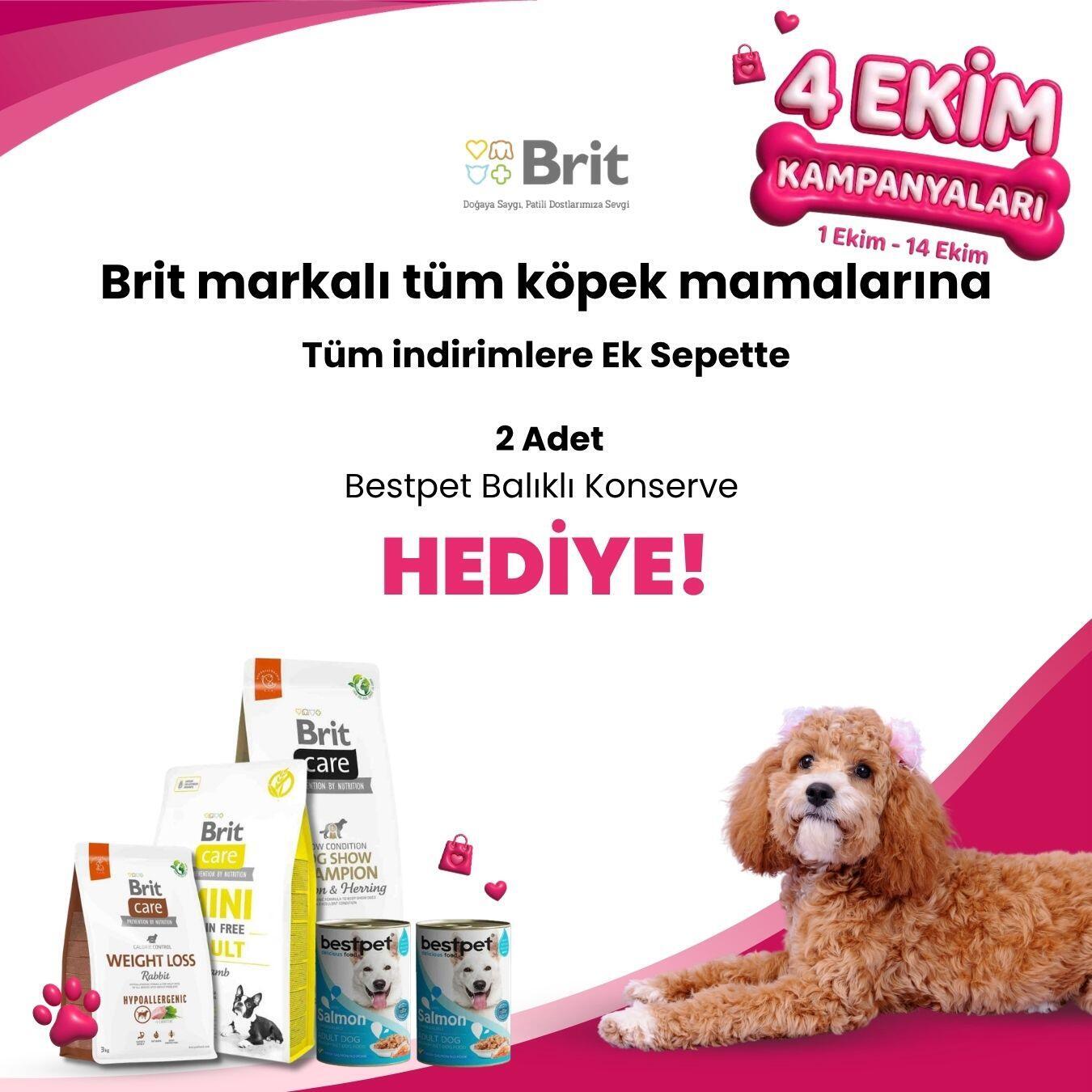 Brit Care Köpek