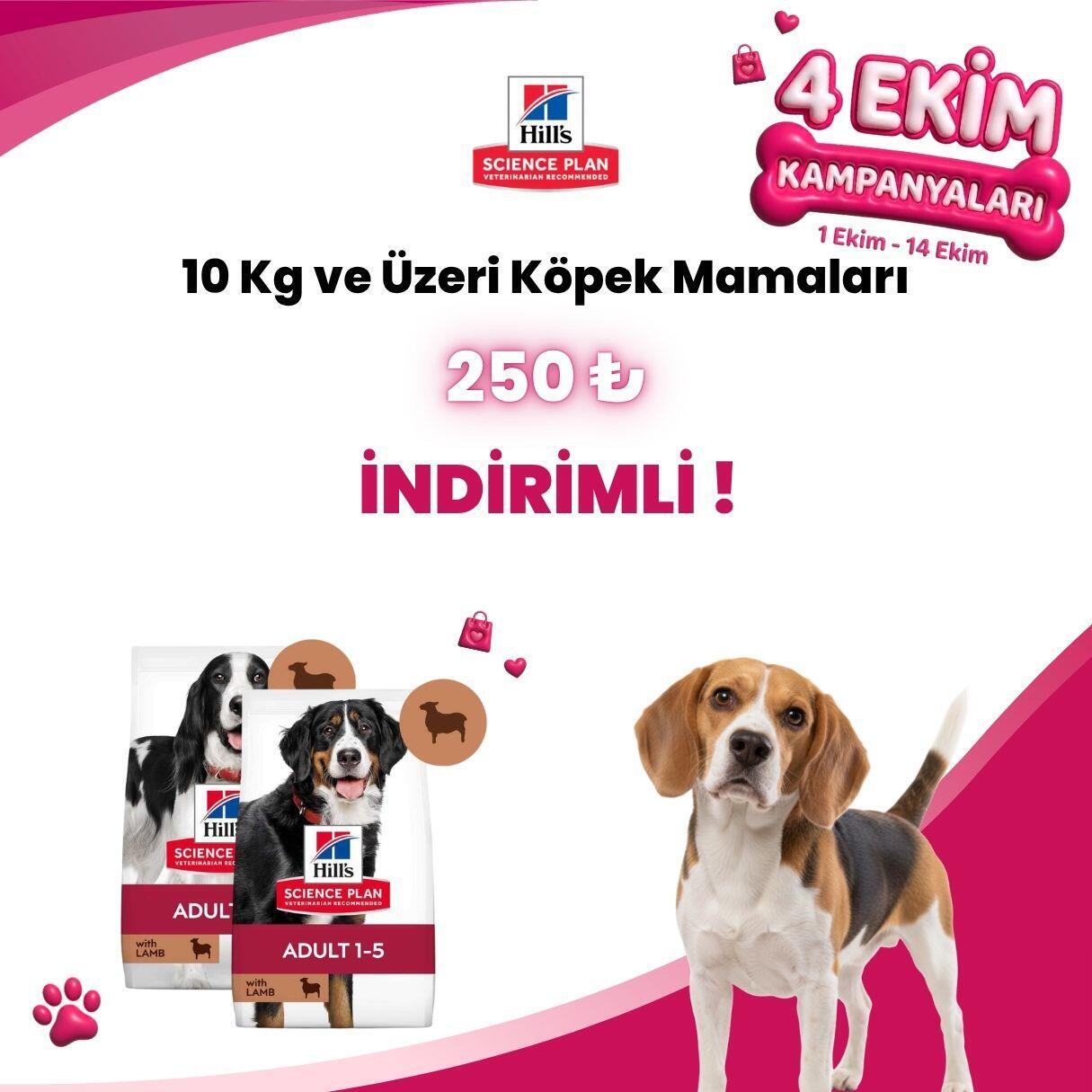Hill’s Science Plan 10 Kg ve Üstü Köpek Mamaları