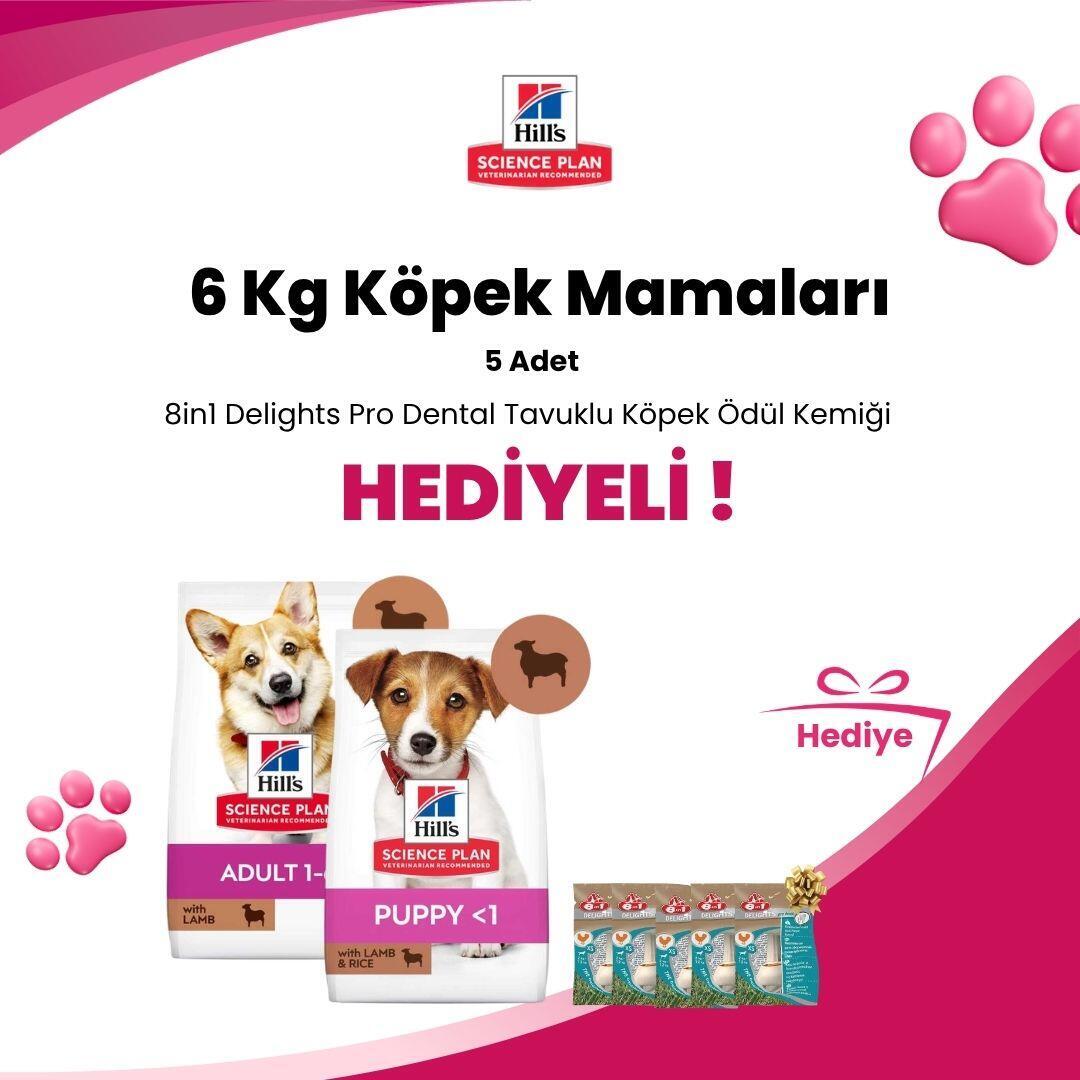 Hill's Science Plan 6 Kg Köpek Mamaları