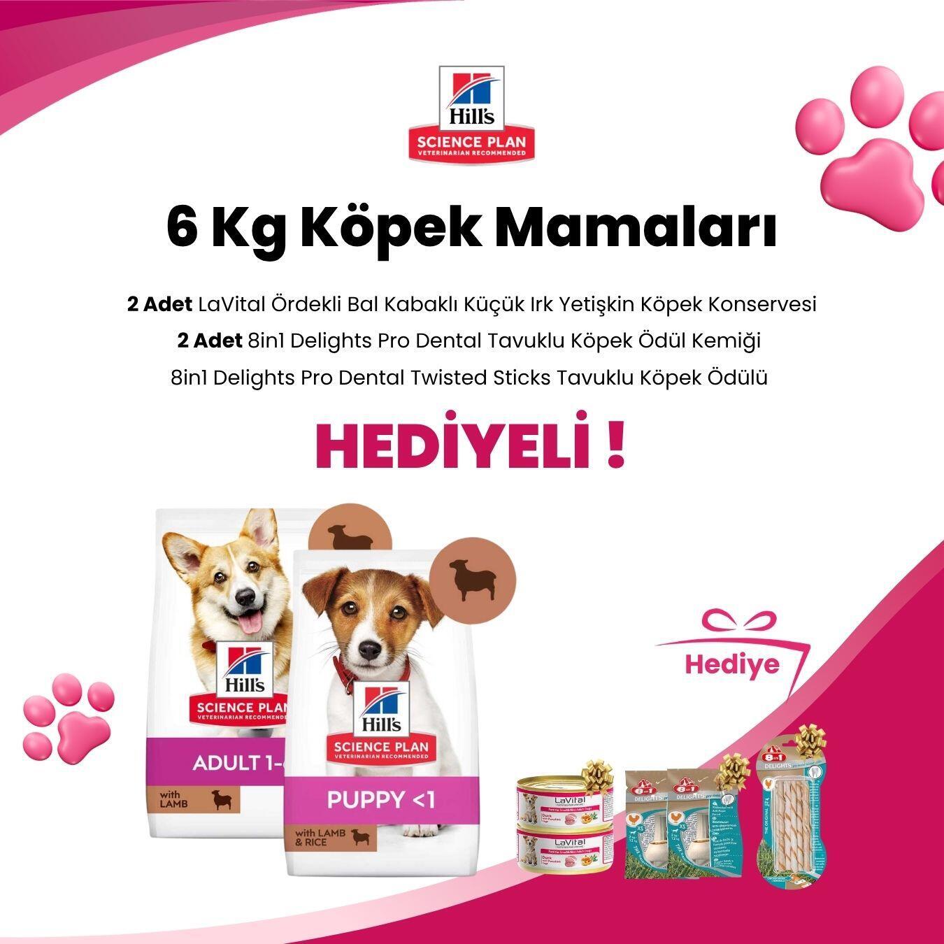 Hill's Science Plan 6 Kg Köpek Mamaları