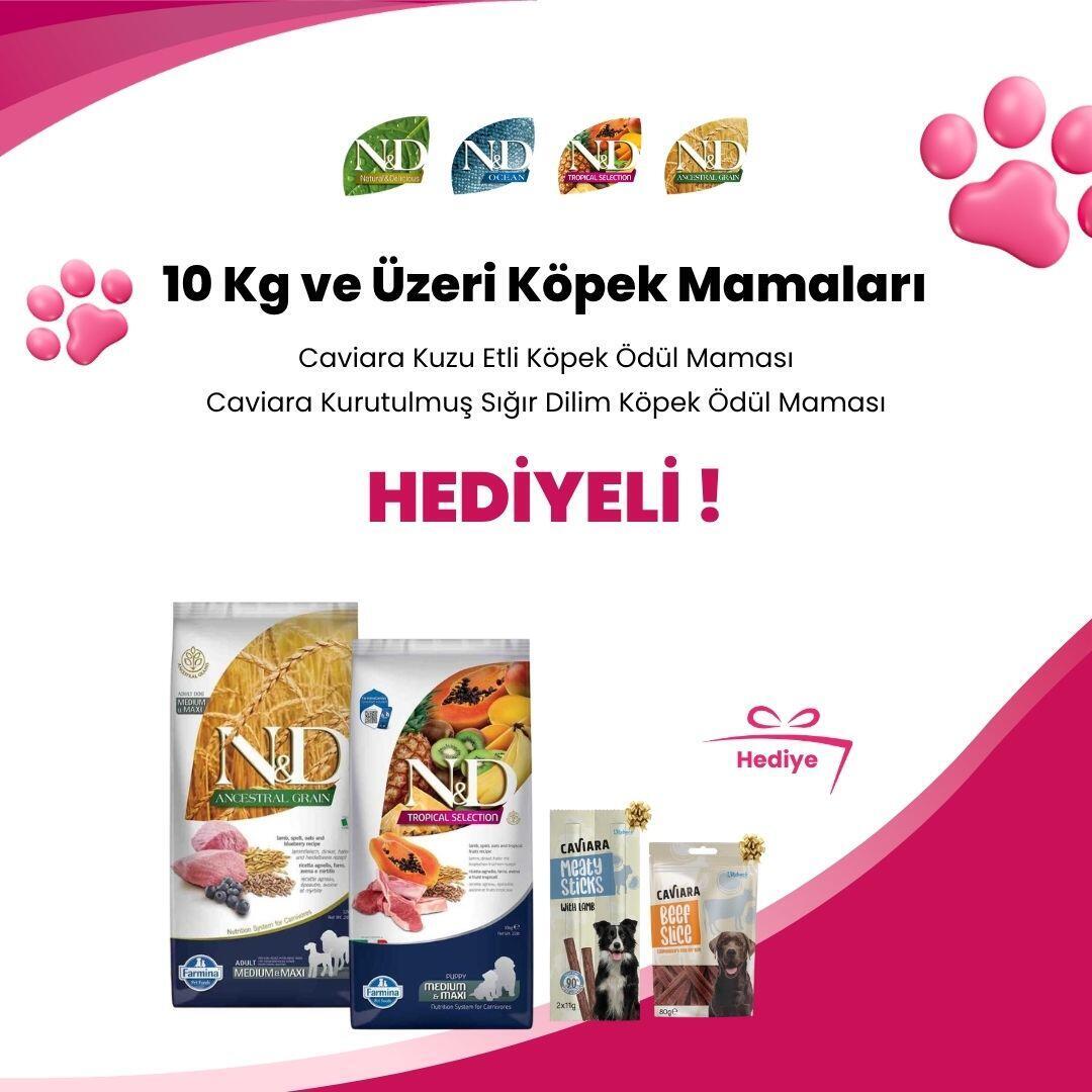 N&D 10 KG ve Üzeri Köpek Mamaları