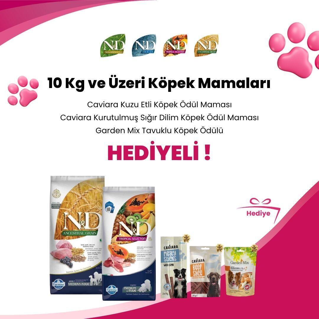 N&D 10 KG ve Üzeri Köpek Mamaları