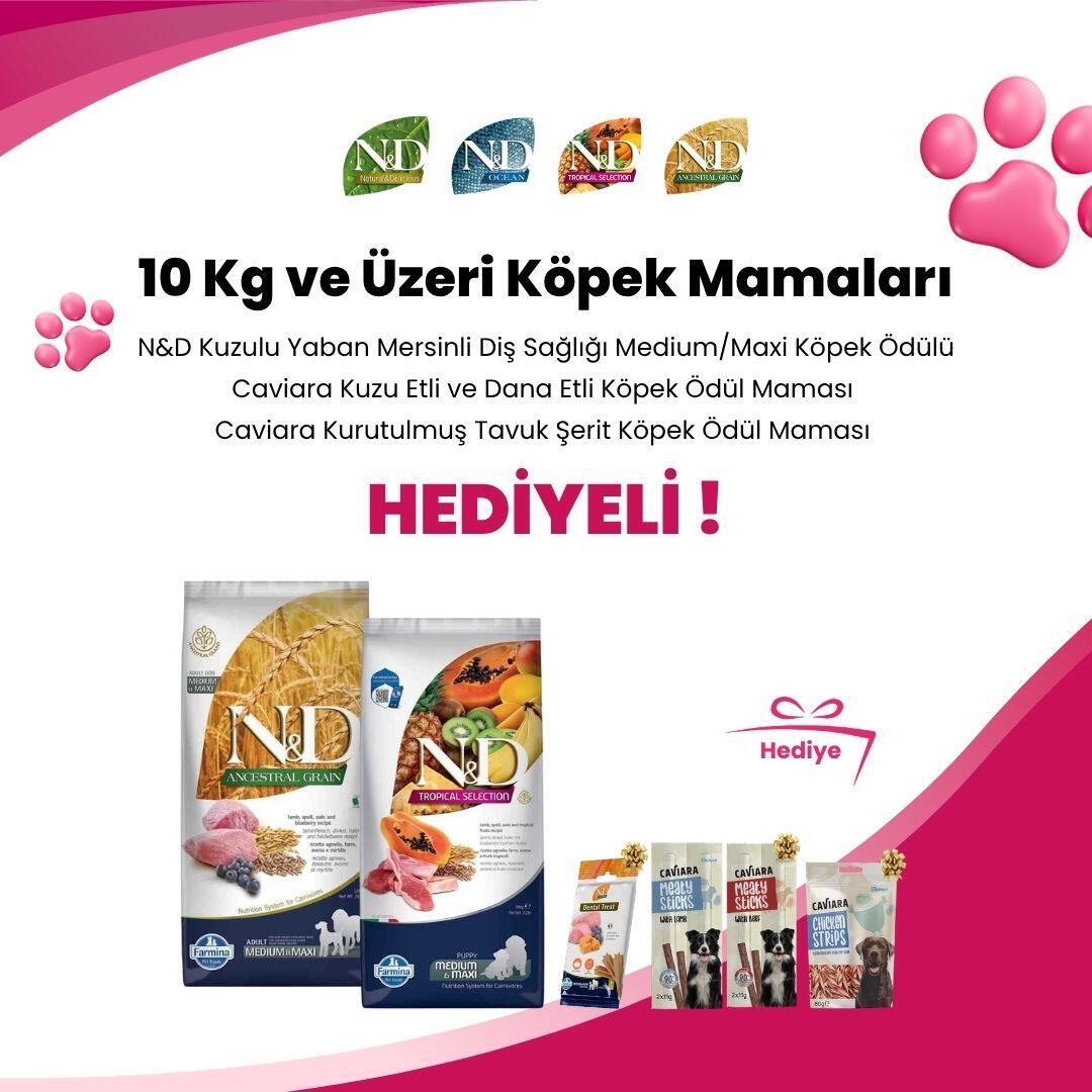N&D 10 KG ve Üzeri Köpek Mamaları