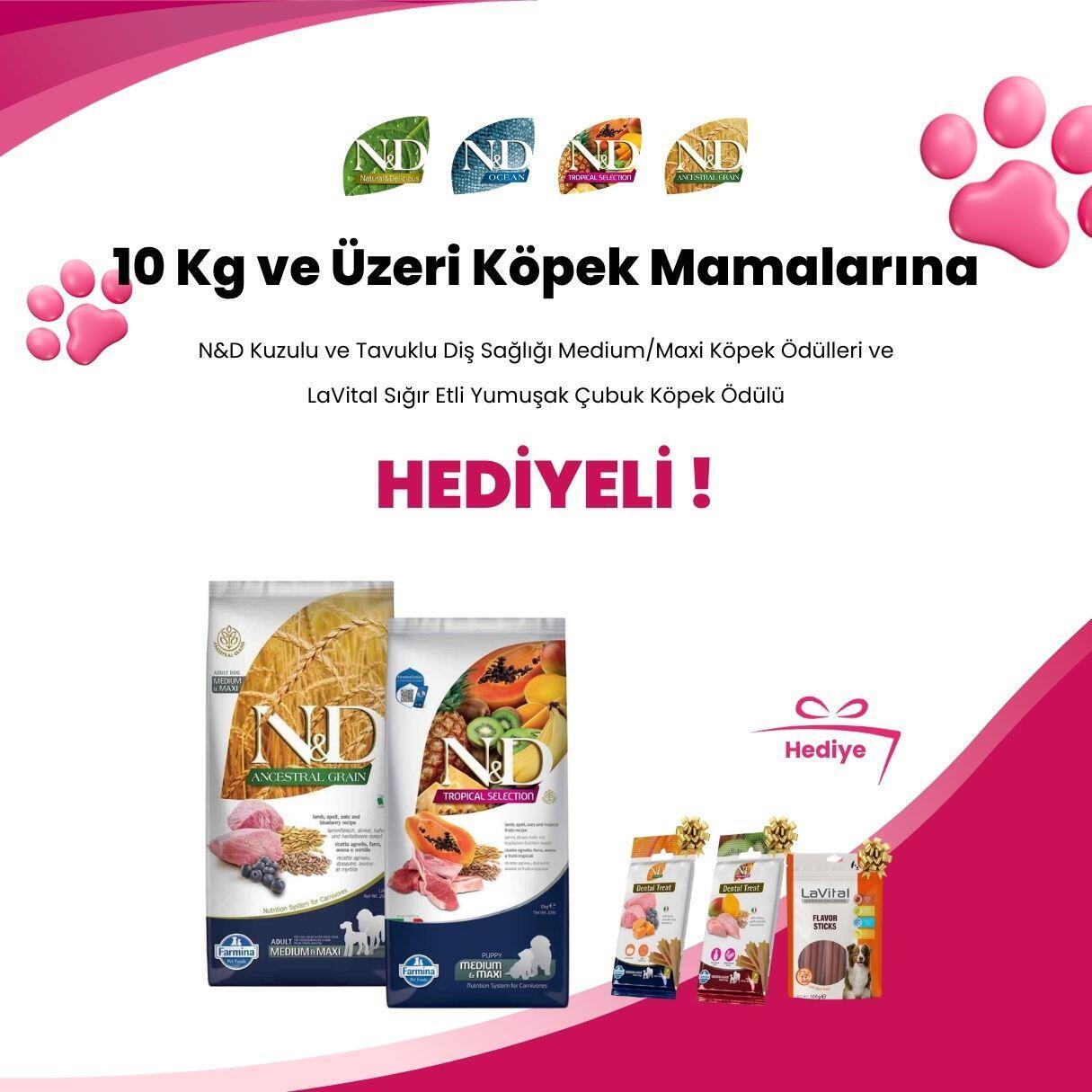 N&D 10 Kg ve Üzeri Köpek Mamaları