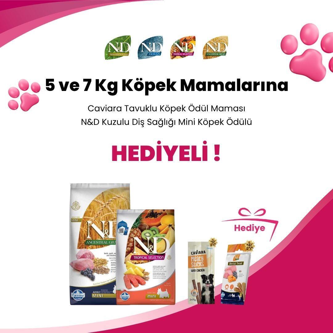 N&D 5 ve 7 Kg Köpek Mamaları