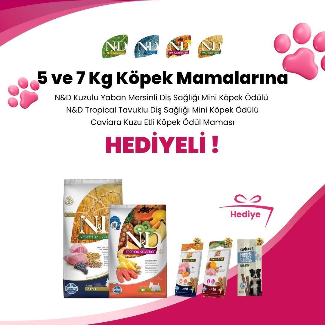 N&D 5 ve 7 Kg Köpek Mamaları