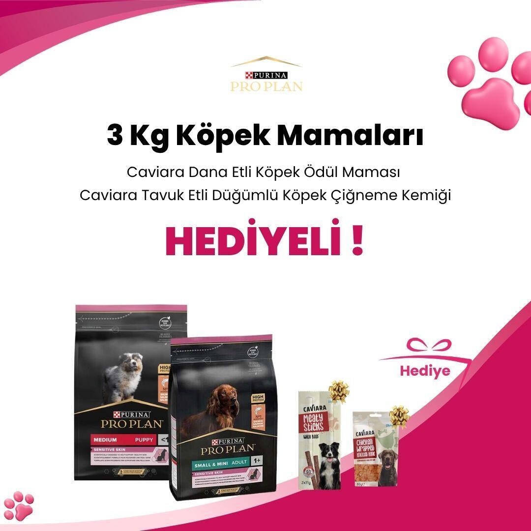 Pro Plan 3 Kg Köpek Mamaları