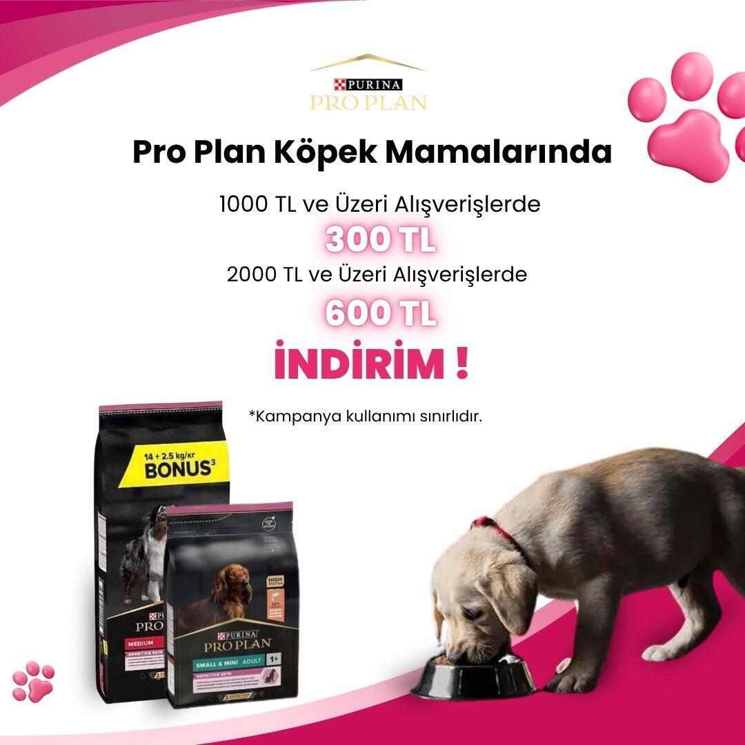 Pro Plan Marka Kampanya
