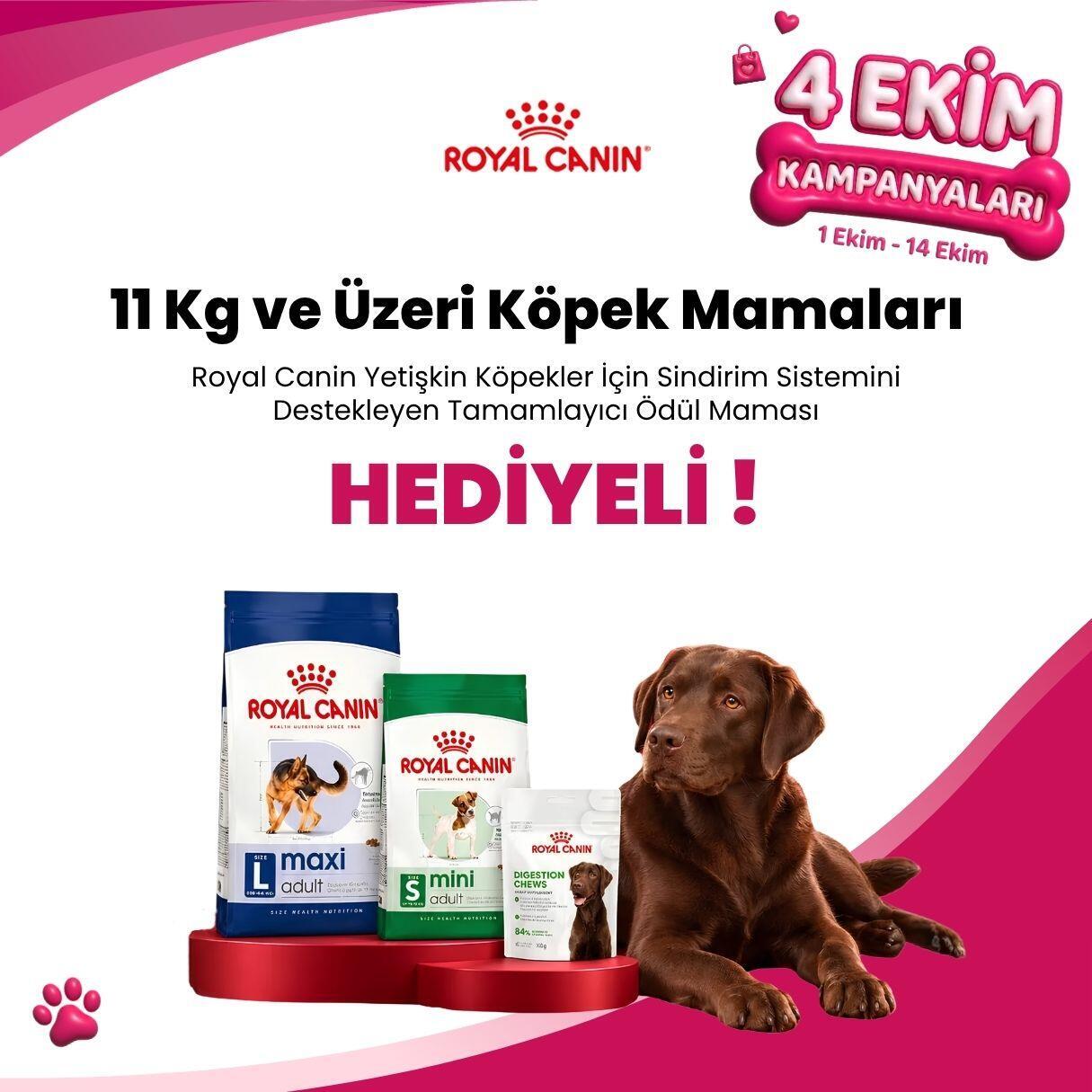 Royal Canin 11 Kg ve Üzeri