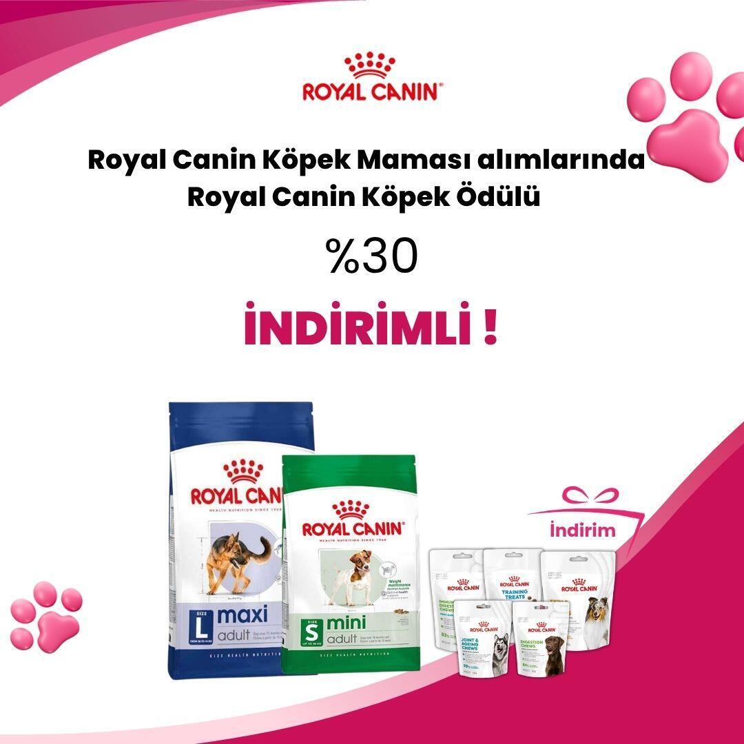 Royal Canin Köpek Ödül Kampanyası