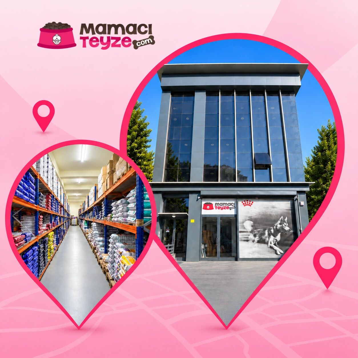 Mamacı Teyze showroom ve binası