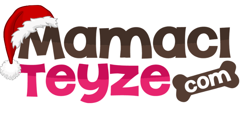 mamaci-teyze-yilbasi-logosu-800.png