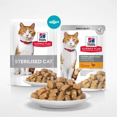 Kedi Yaş Mamaları