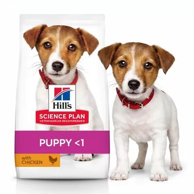 Yavru Köpekler İçin
