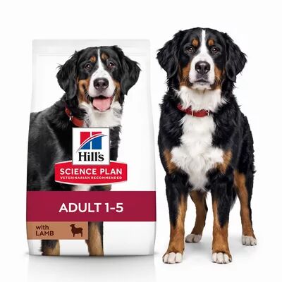 Yetişkin Köpek Maması