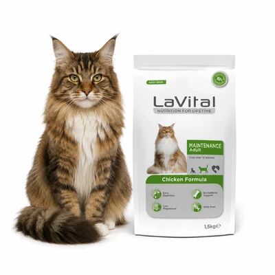 Kedi Maması