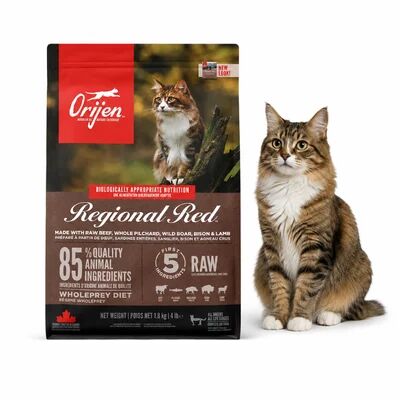 Kedi Maması