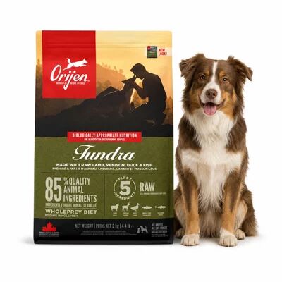 Köpek Maması