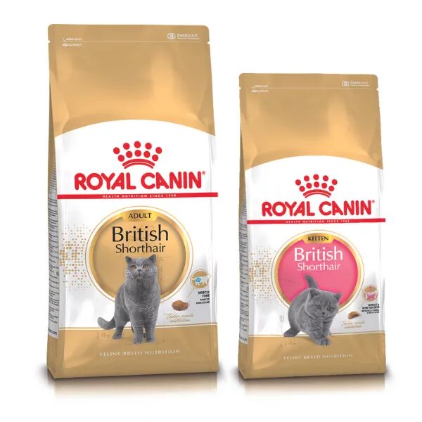 Irklara Özel Kedi Mamaları