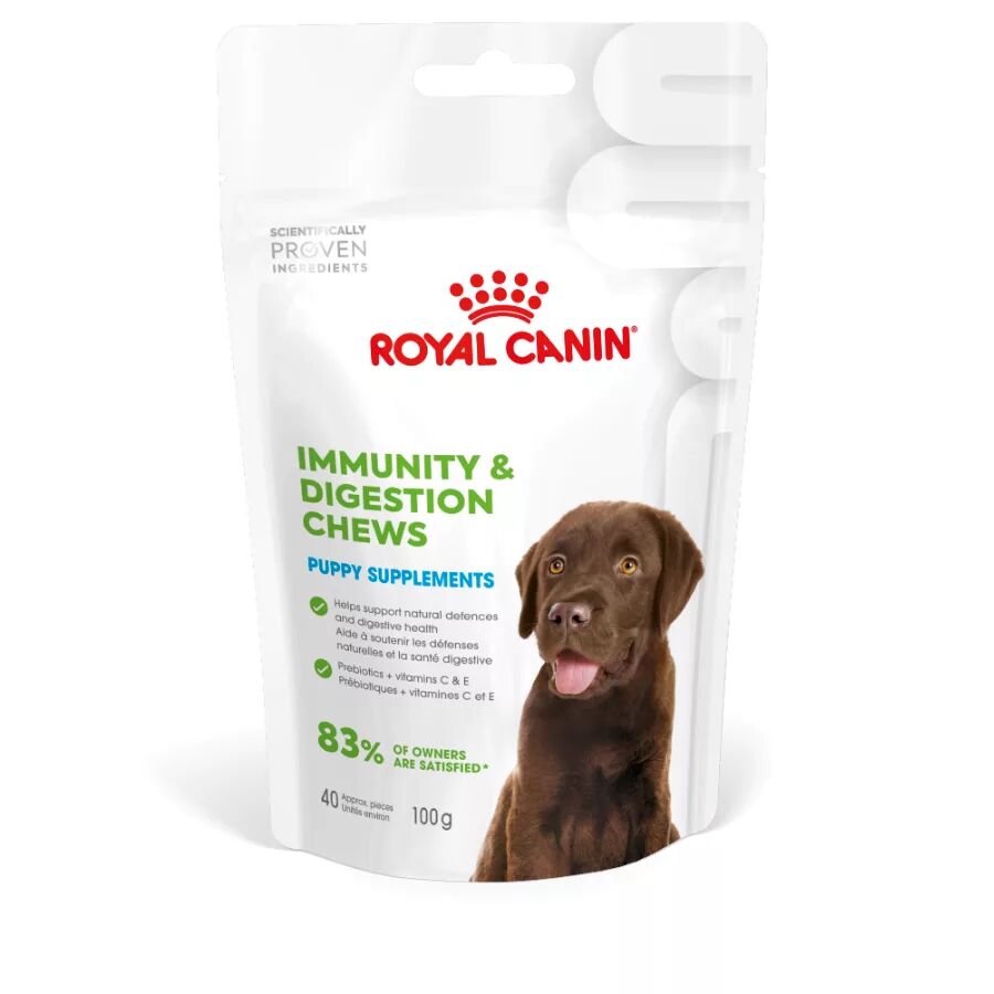 Köpek Ödül Mamaları