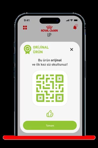 Orijinal ürün — yeşil doğrulama ekranı