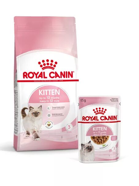 Royal Canin Yavru Kedi Maması - 4. Aydan 6. Aya
