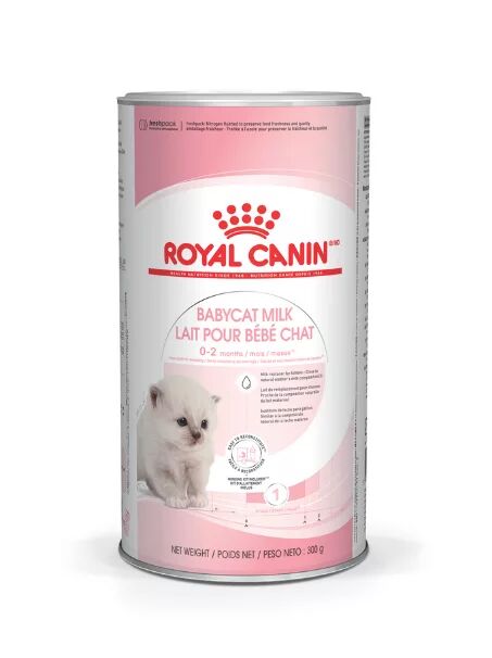 Royal Canin Yavru Kedi Maması - Doğumdan 1. Aya