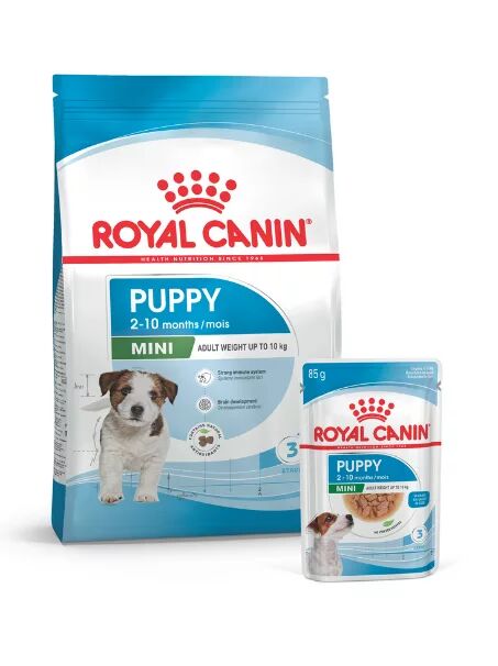 Royal Canin Yavru Köpek Maması - 2. Aydan Yetişkinliğe