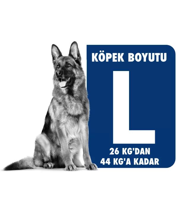 Royal Canin L Köpek Maması