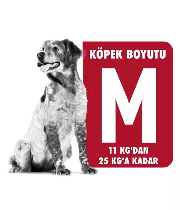 Royal Canin M Köpek Maması