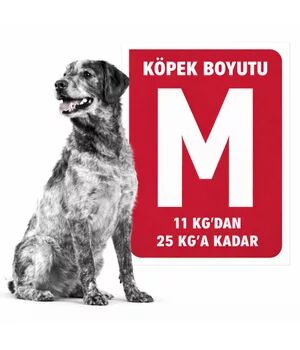 Royal Canin M Köpek Maması