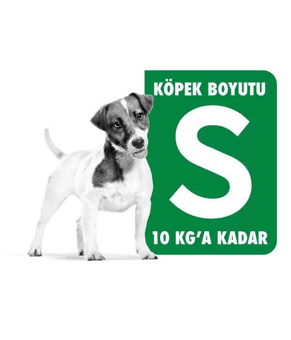 Royal Canin S Köpek Maması