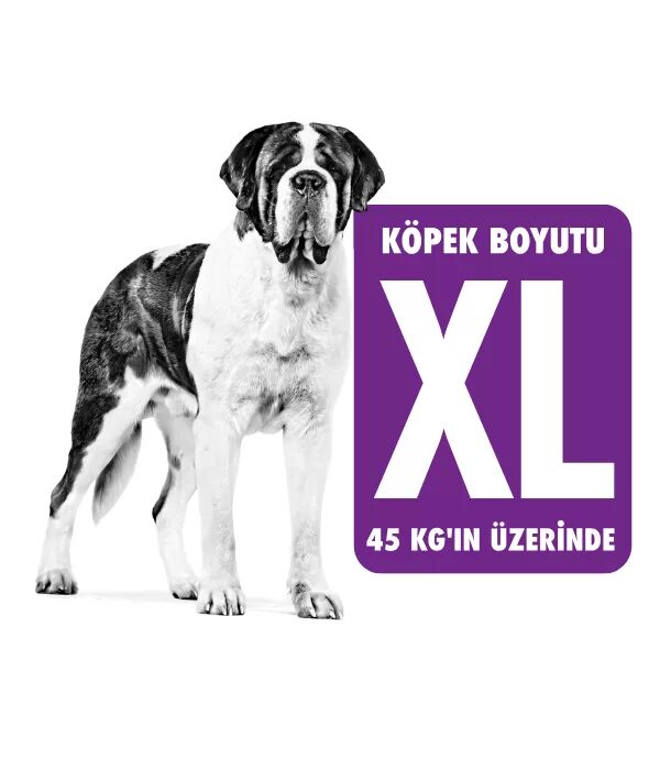 Royal Canin XL Köpek Maması