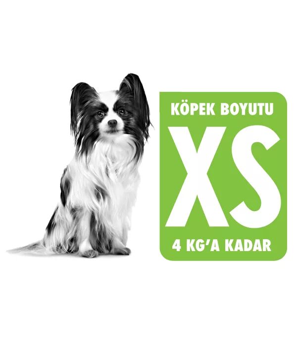 Royal Canin XS Köpek Maması