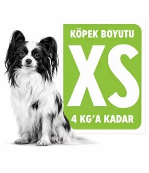 Royal Canin XS Köpek Maması