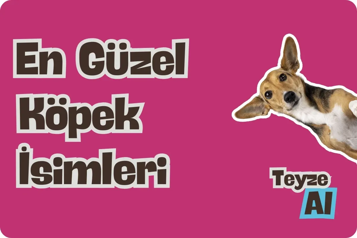 En Güzel Köpek İsimleri - TeyzeAI ile Öneriler
