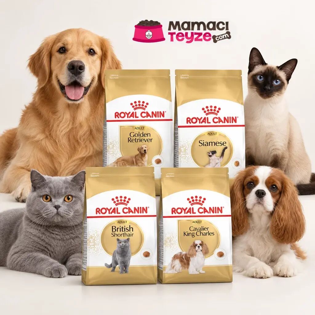 Royal Canin Irka Özel Mamalar: Hangi Irk Hangi Mamayı Yemeli?
