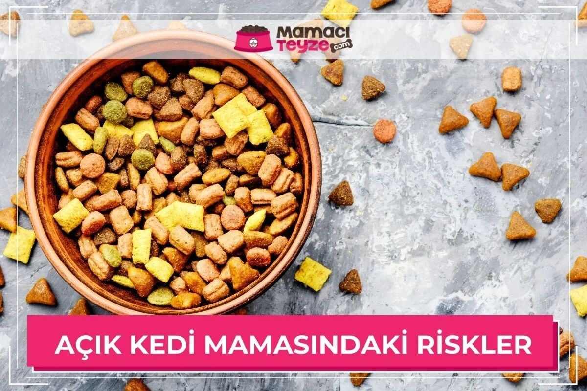 Açık Kedi Mamaları Neden Tercih Edilmemeli?