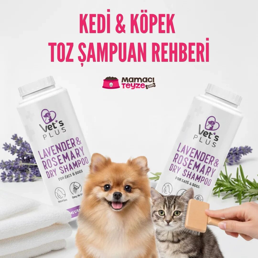Kedi ve Köpek Toz Şampuan Rehberi | Pratik Temizlik İpuçları
