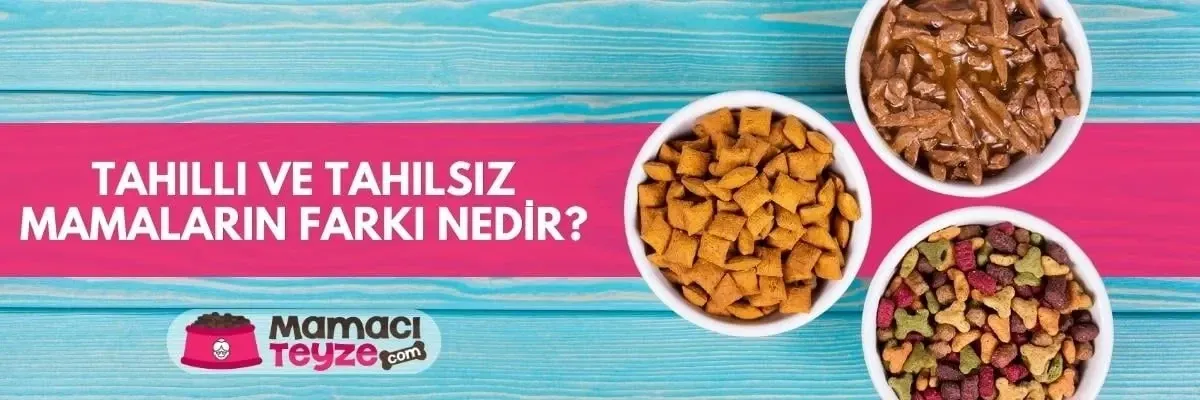 Tahıllı ve Tahılsız Mamaların Farkı Nedir?