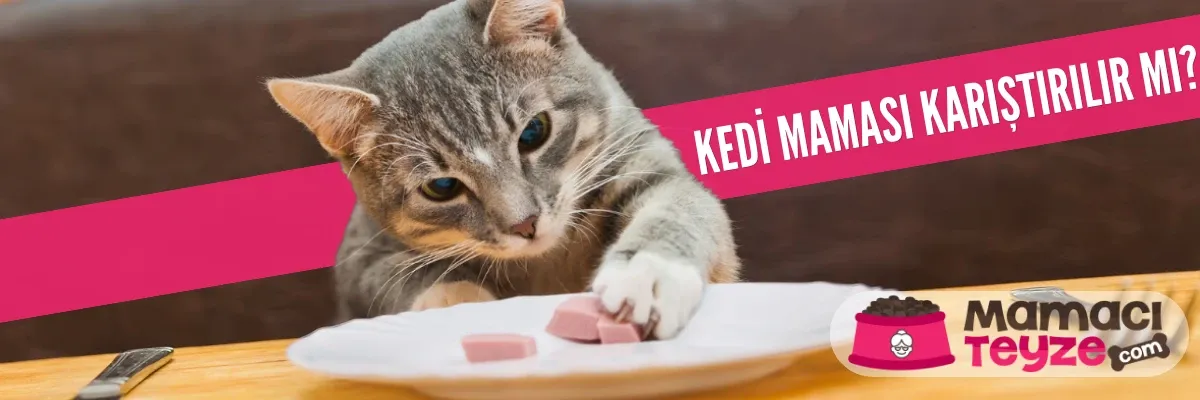 Kedi Maması Karıştırılır mı?