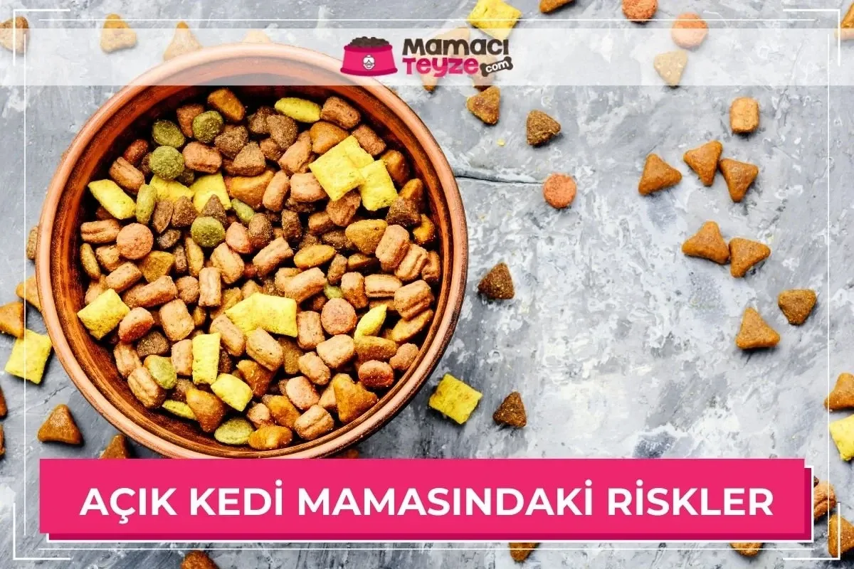 Açık Kedi Mamaları Neden Tercih Edilmemeli?