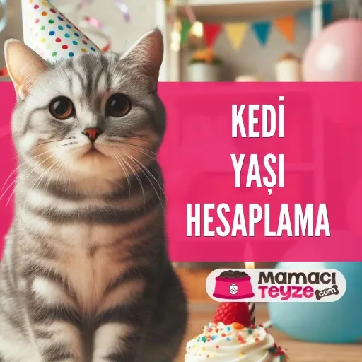 Kedi Yaşı Hesaplama - Kedi Yaşı Nasıl Hesaplanır?