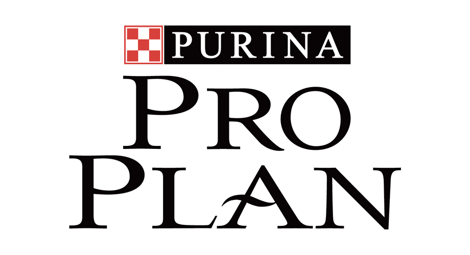 Pro Plan