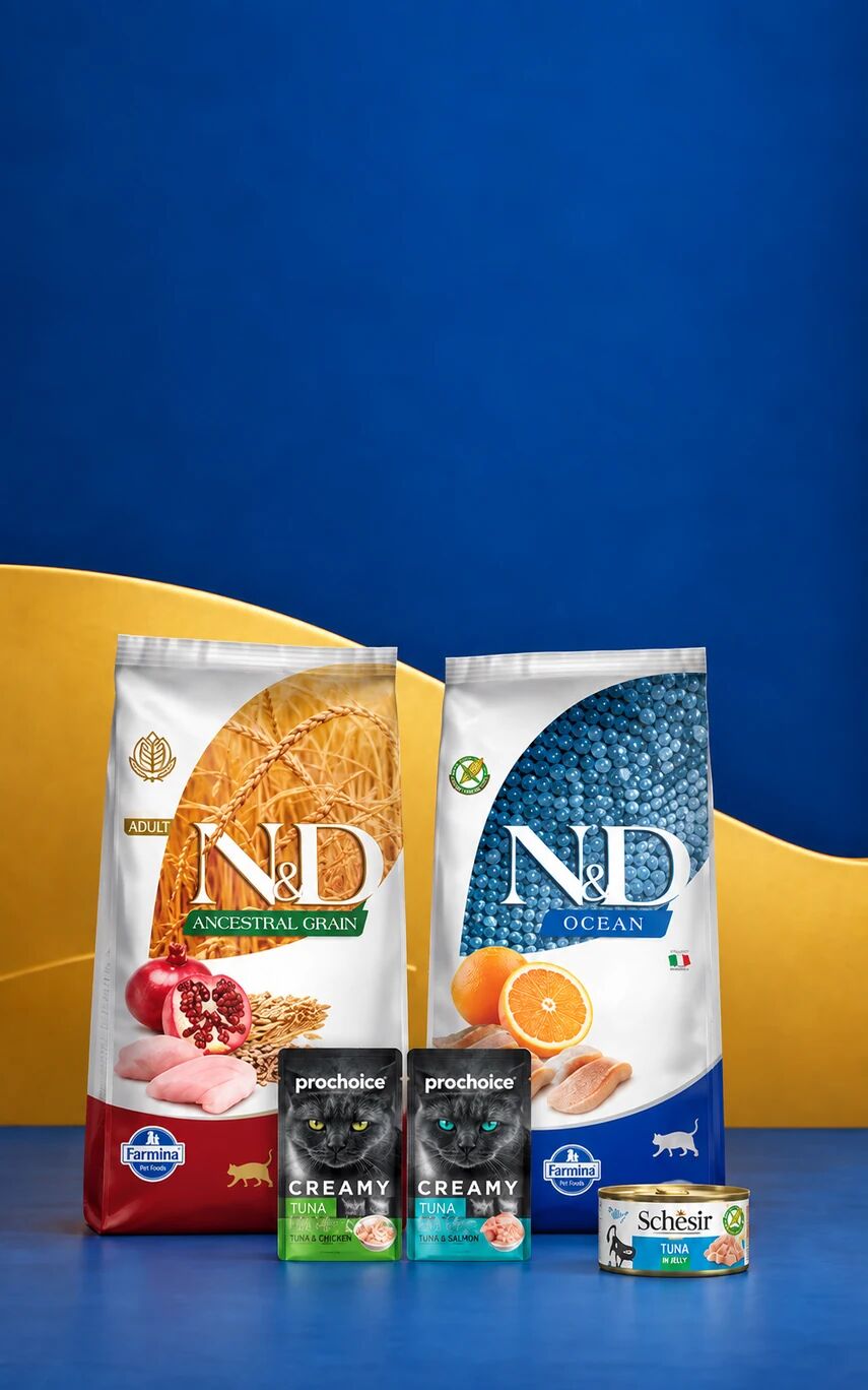 N&D 5 kg Kedi Mamalarına Hediyeler